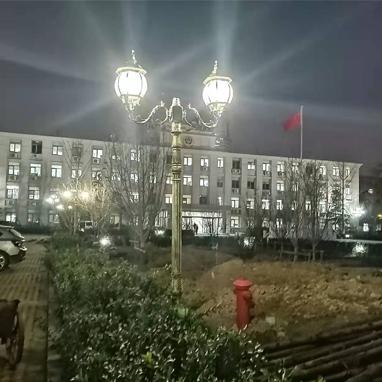 天津公安局欧式庭院灯工程案例